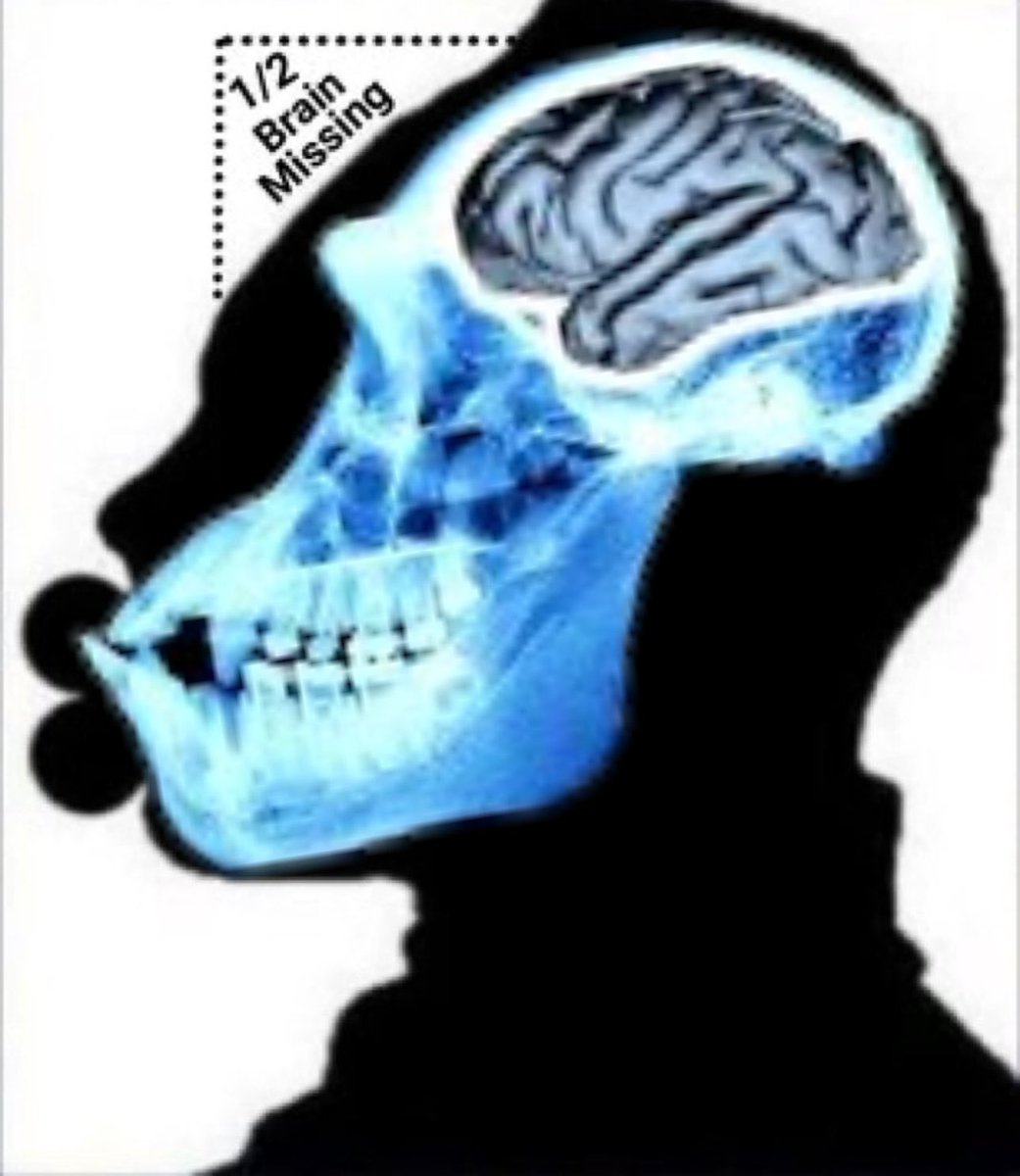 Mr M Neanderthal tweet media