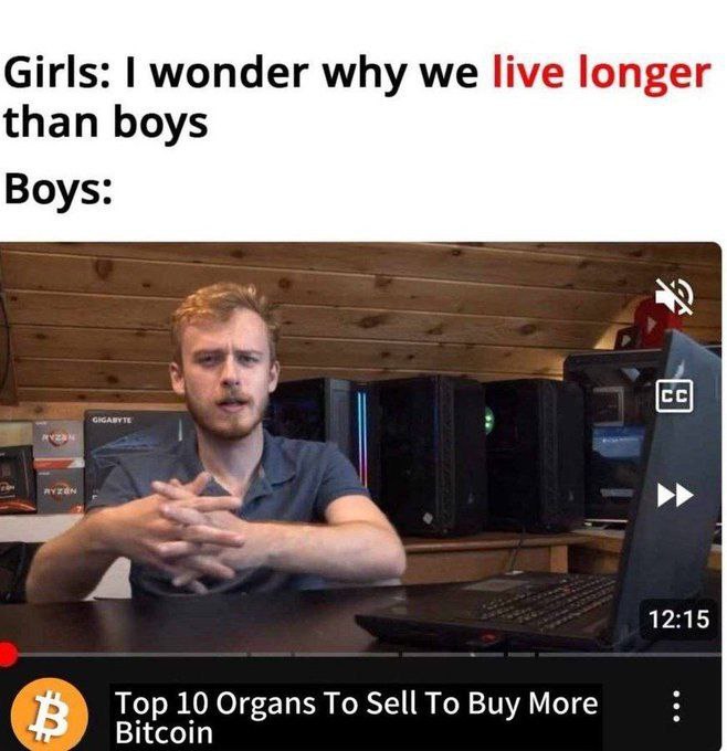 ₿TCHEL 🇫🇮 tweet media