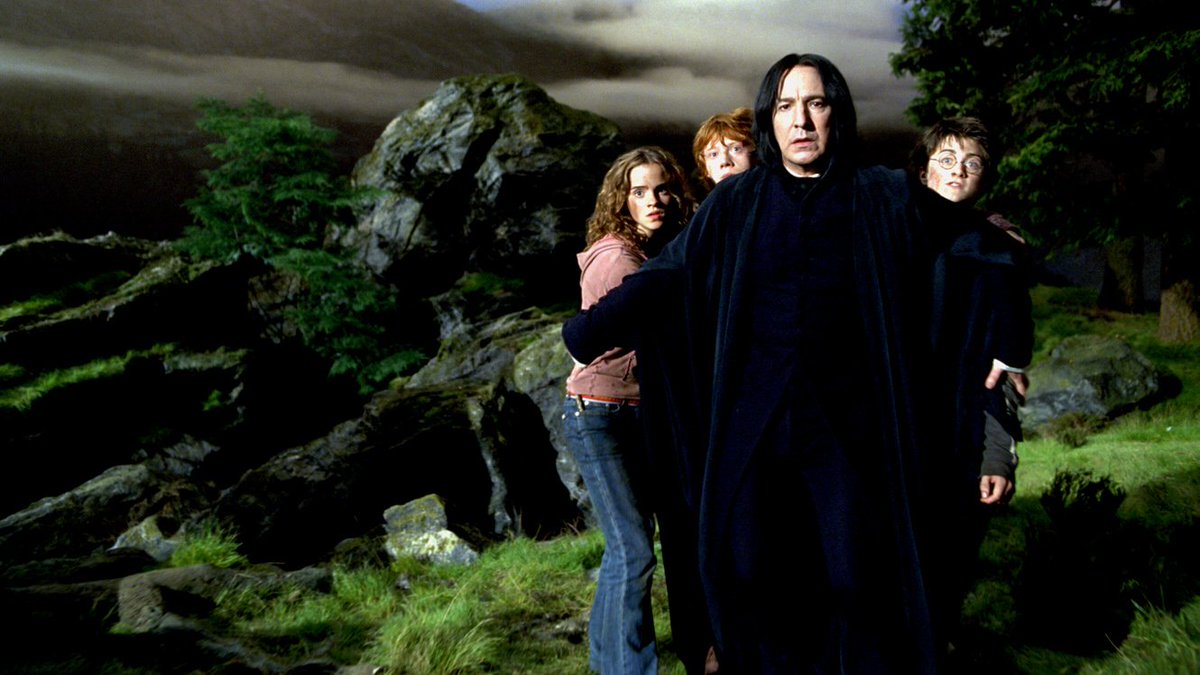 Severus Snape der sich schützend vor das Trio stellt um sie vor dem angreifenden Remus Lupin zu beschützen. Direkt vor dem Geheimgang unter der Peitschenden Weide der direkt in die Heulende Hütte führt. Aber Moment mal...Fehlt da nicht irgendwas ? Ja genau, die Peitschende Weide