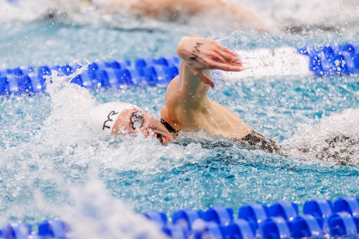 Louisville Swim & Dive tweet media