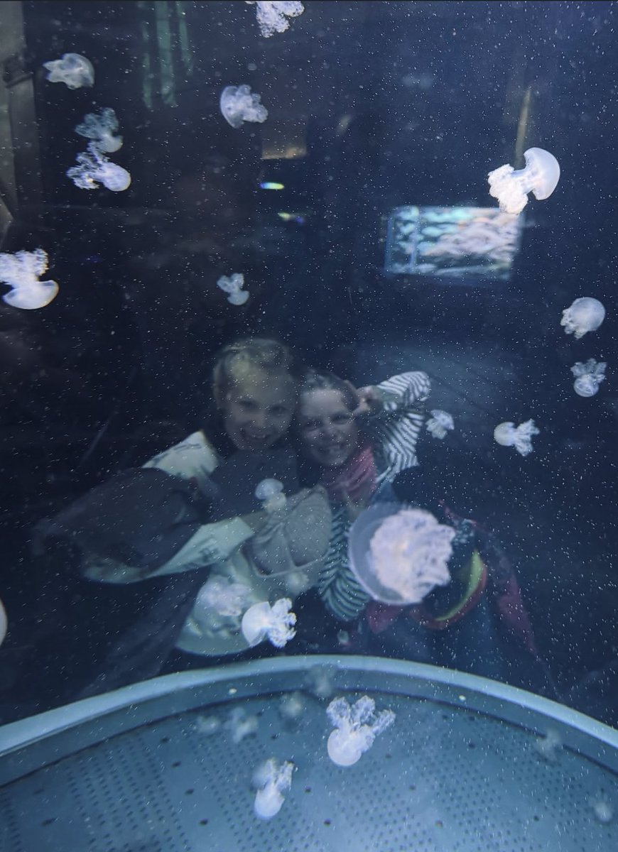 LYKN Philippines tweet media