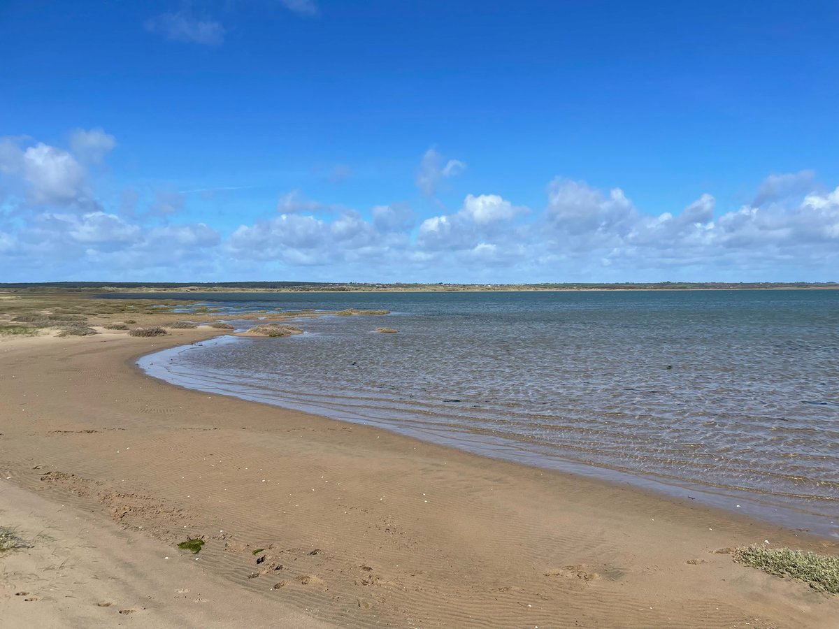 BethanWynHughe1's tweet photo. Taith gerdded 10 milltir gwyntog heddiw o Niwbwrch i Pwynt Abermenai ac yn ôl trwy traeth Llanddwyn a’r goedwig.
A breezy 10 mile walk today from Niwbwrch to Abermenai Point and back through Llanddwyn beach and the forest.
#DyddSulPasg #EasterSunday #YnysMon #Anglesey https://t.co/LgCXZ35Cbj