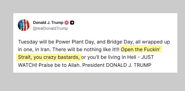 Gringa Brazilien tweet media