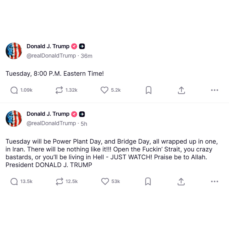 Camarote da República tweet media