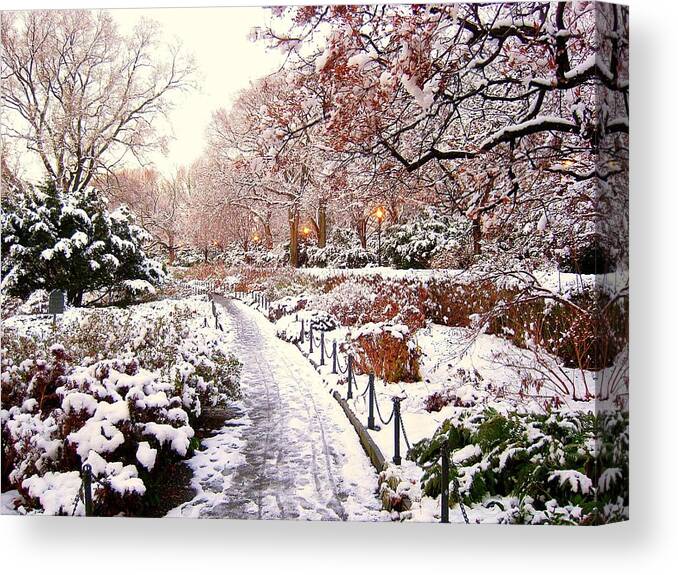 Ydania Ogando tweet media