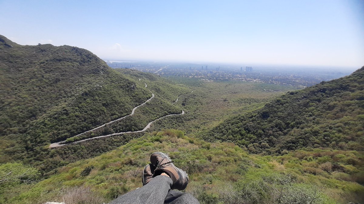 🇵🇰 tweet media