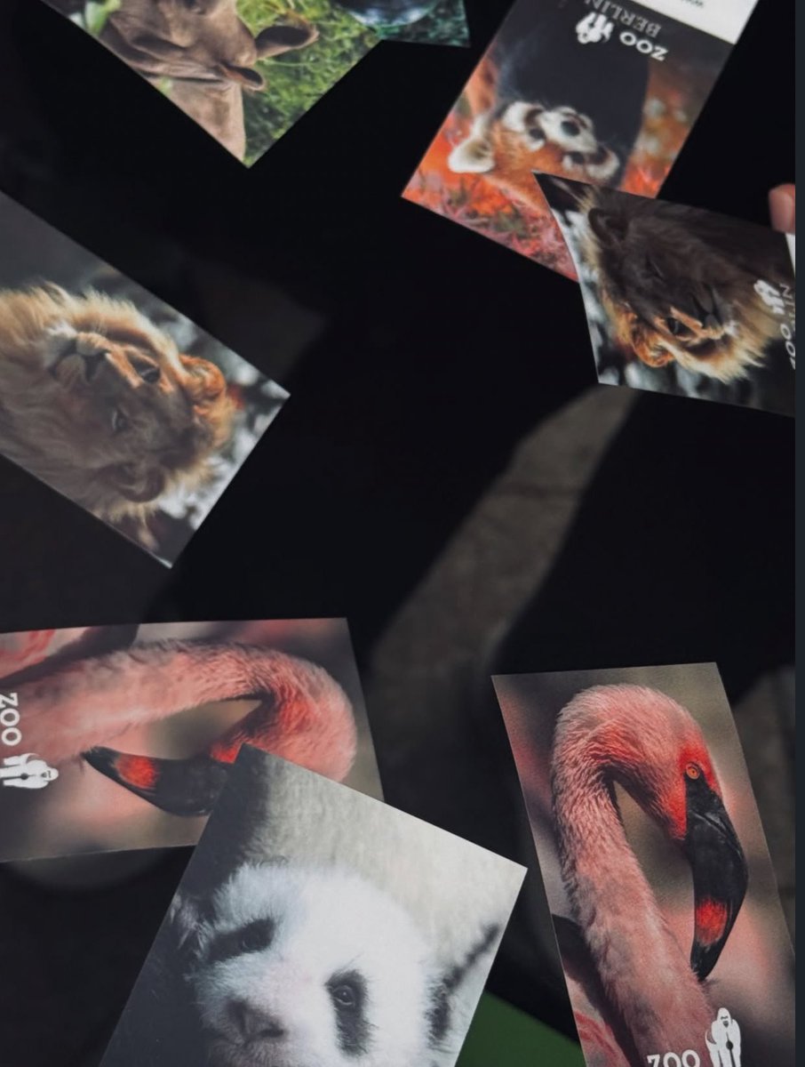 LYKN Philippines tweet media