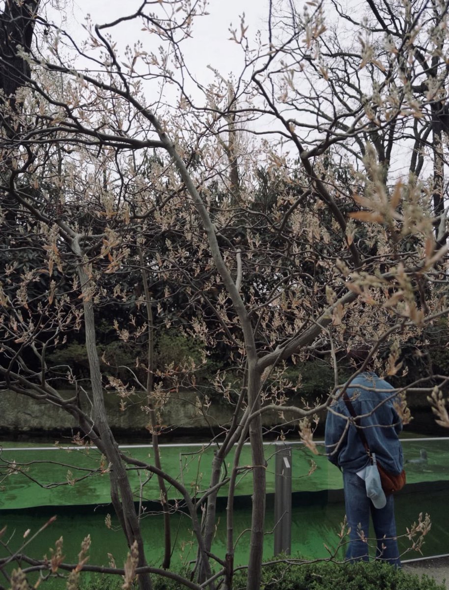 LYKN Philippines tweet media