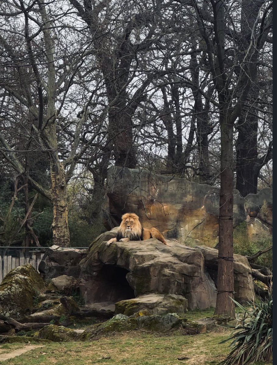 LYKN Philippines tweet media