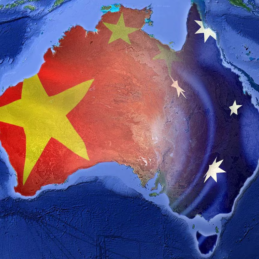 Dr. Dina McMillan 🇺🇸 tweet media