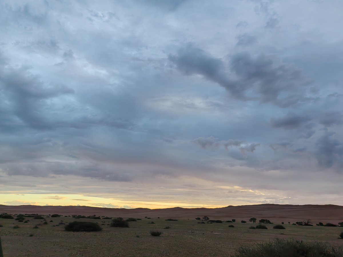 it's by deesign tweet media