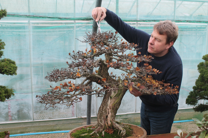 NOEBonsai's tweet image. Five reasons to come along to our Open Weekend this Saturday 11th and Sunday 12th April…

Reason 5 – Meet Yorkshire’s own Mr Bonsai and ask any bonsai-care related questions you have.

Visit our garden centre near York (Vertigrow).

#OpenWeekend #VisitUs #LeadingBonsaiSupplier
