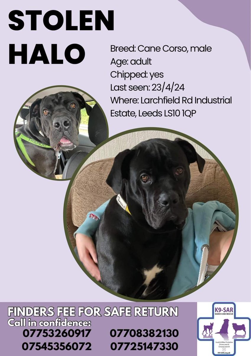 Missing Pets GB tweet media