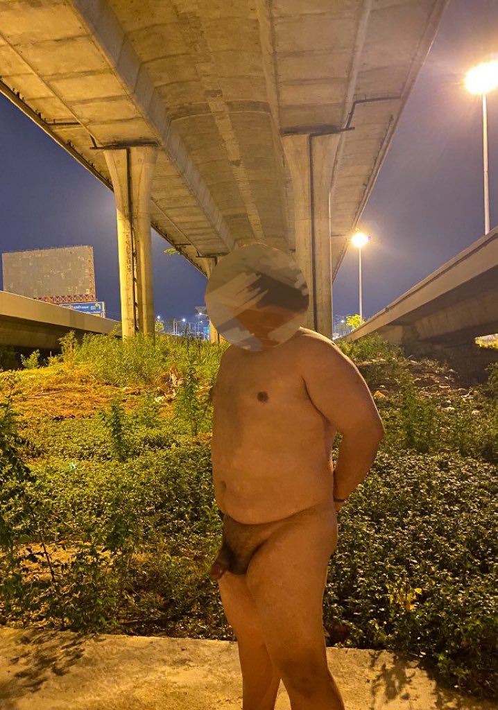 Chubby bear 🐻 tweet media