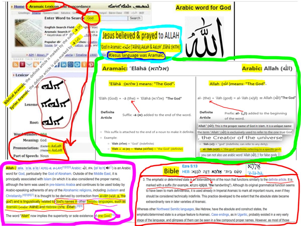 Paradise/Peaceful man tweet media