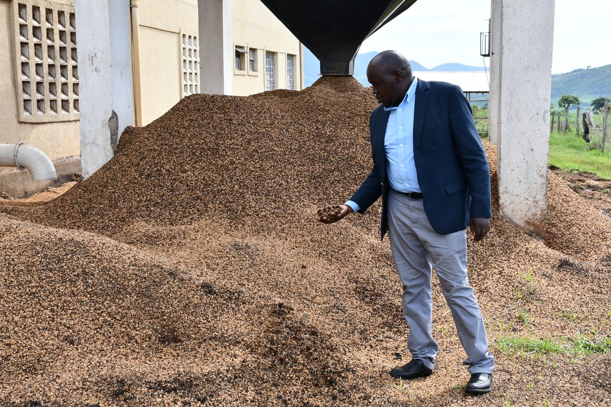 Senator Kiprotich Arap Cherargei tweet media