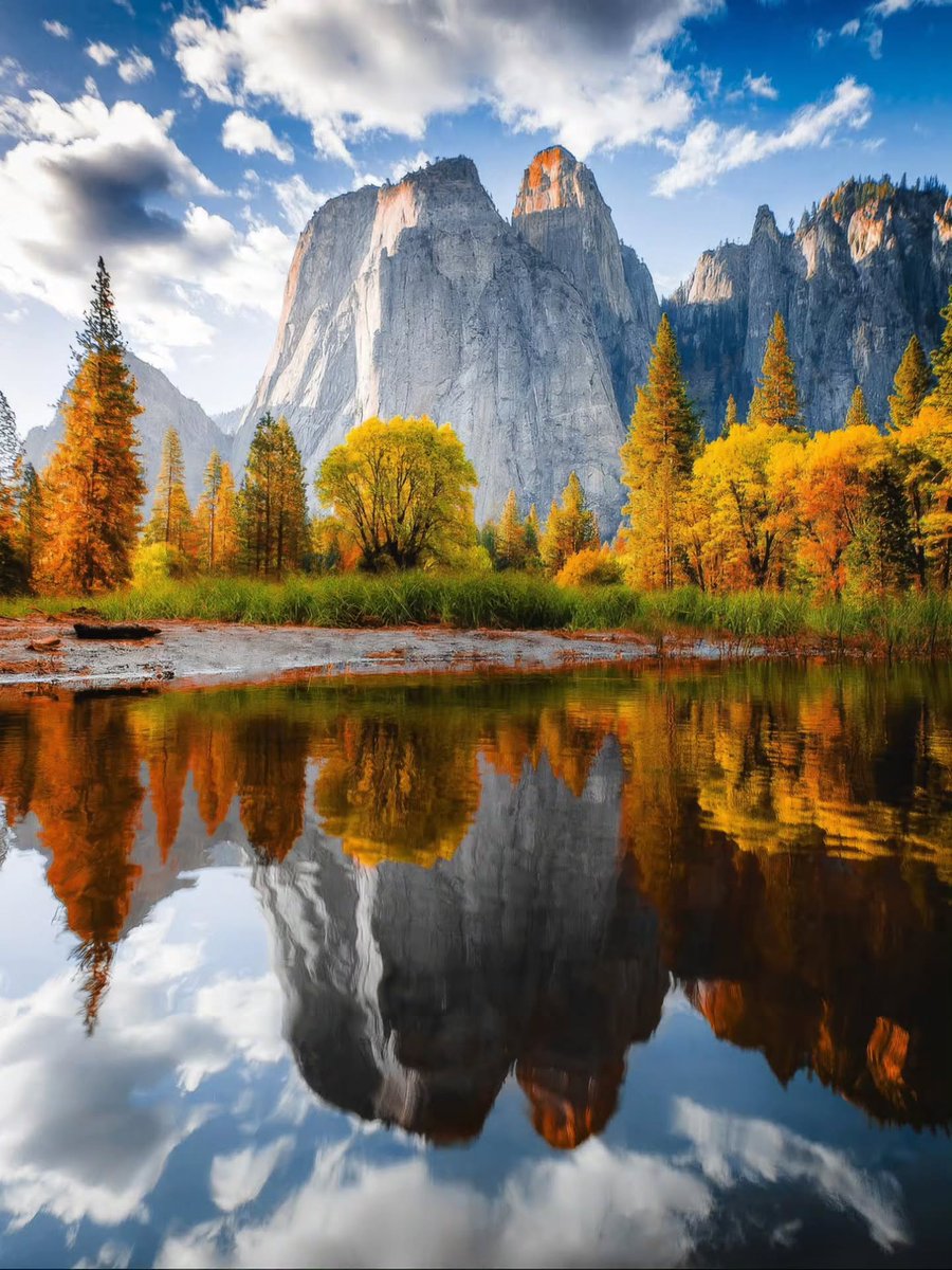 Purely Green tweet media