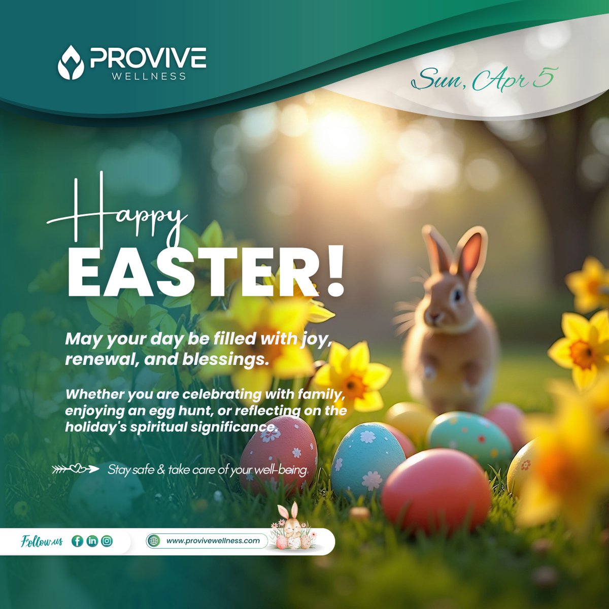 Provive Wellness tweet media