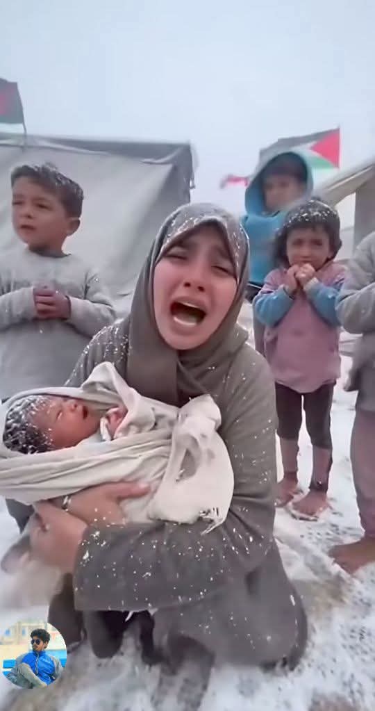 Reani Flavia Becker tweet media