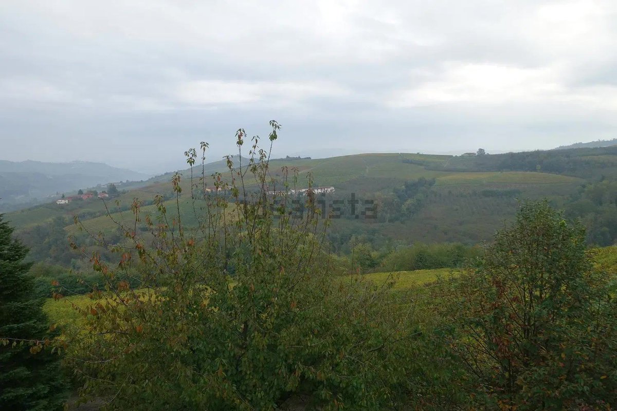 The Italian Exit tweet media