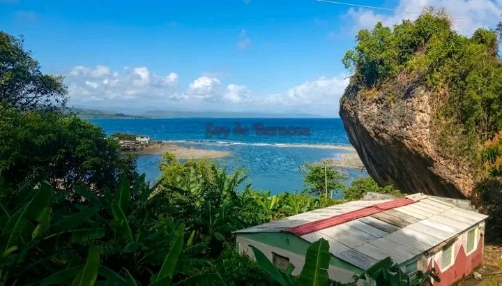 Enoida Castillo Hernández tweet media