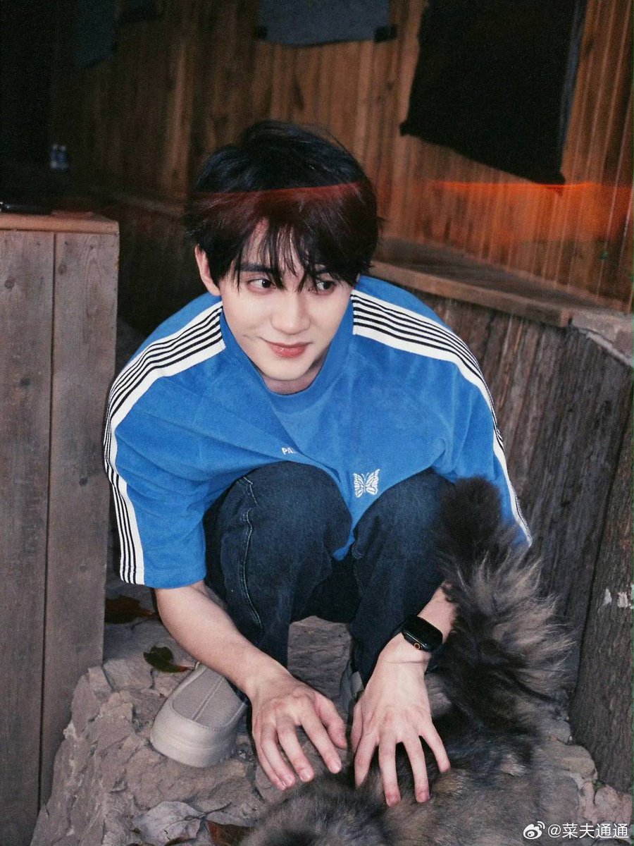 𝙨𝙞𝙚𝙩𝙚 🫧 tweet media