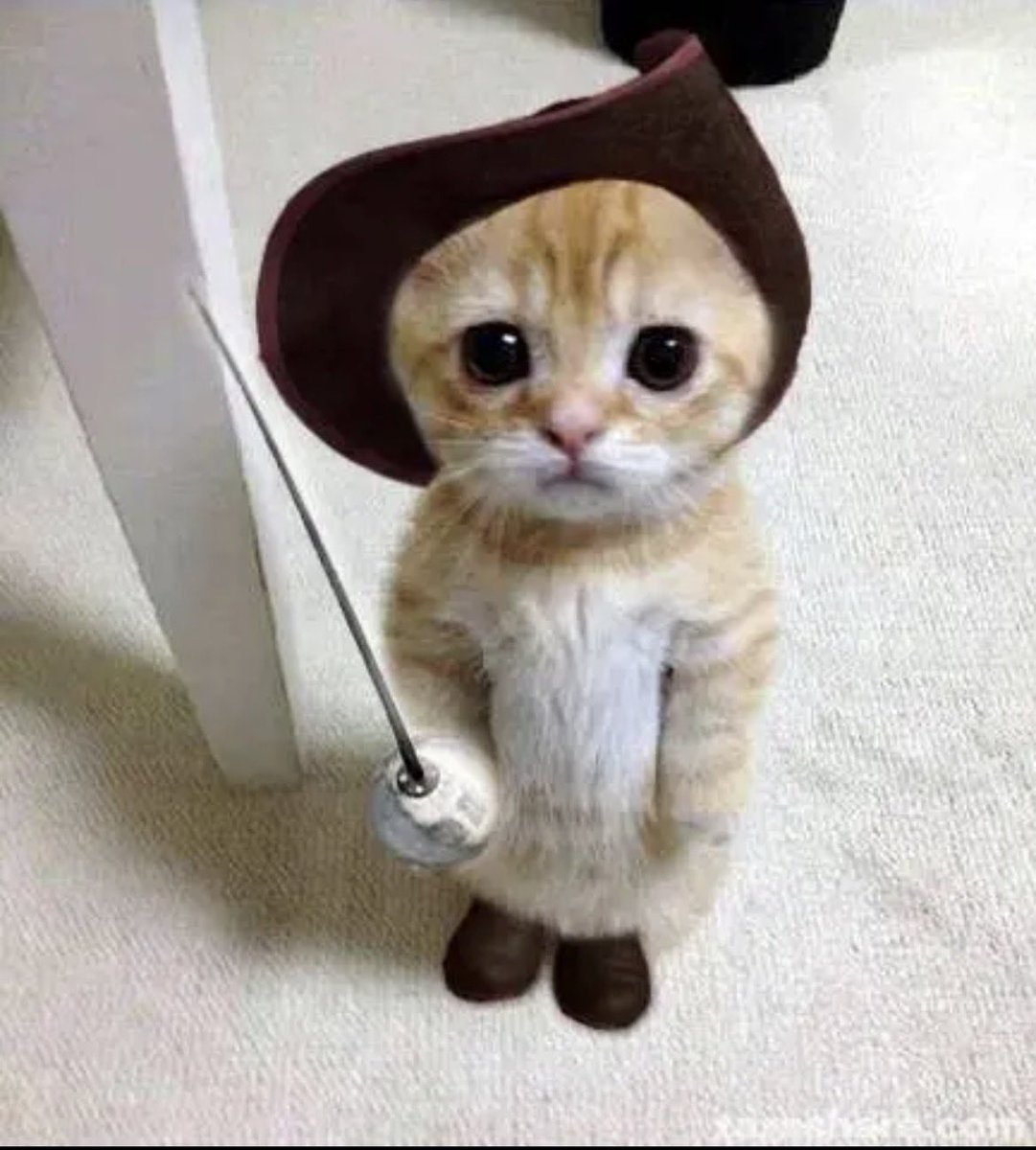 Mike Burdette tweet media