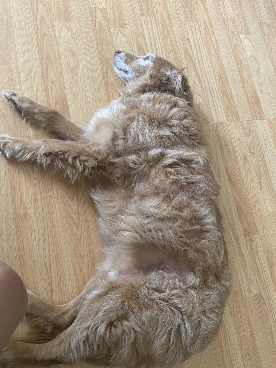 ©️Combat Fishing Russ®️ 🎣 tweet media