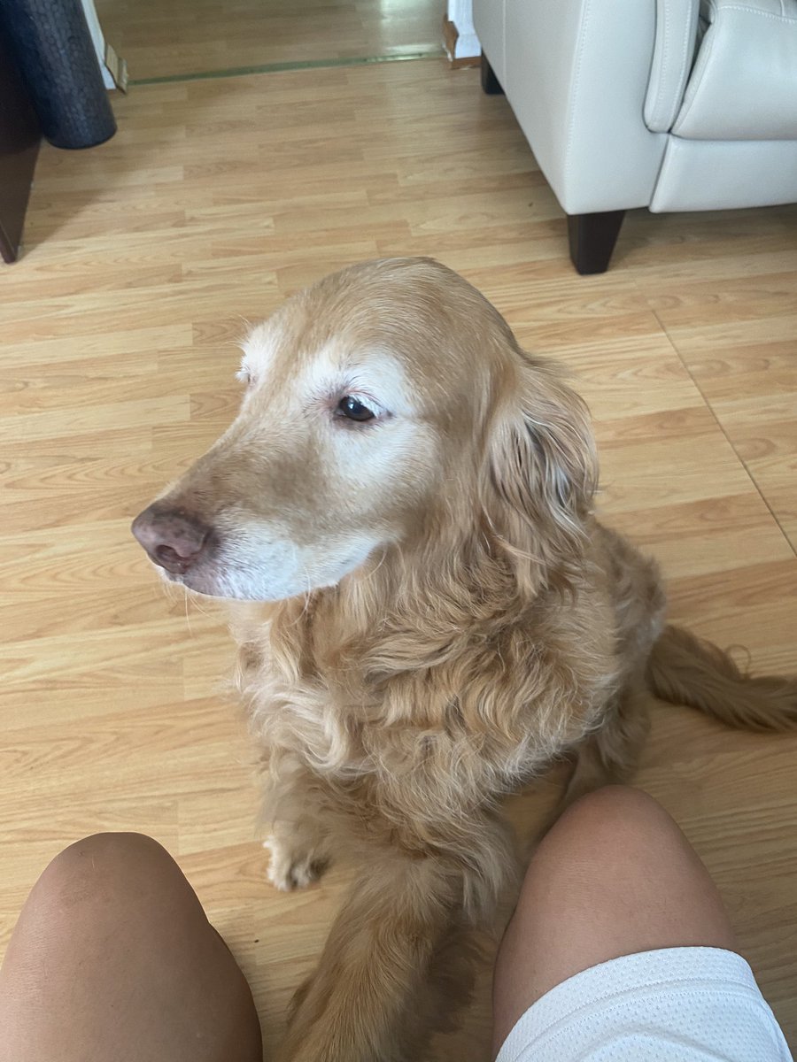 ©️Combat Fishing Russ®️ 🎣 tweet media