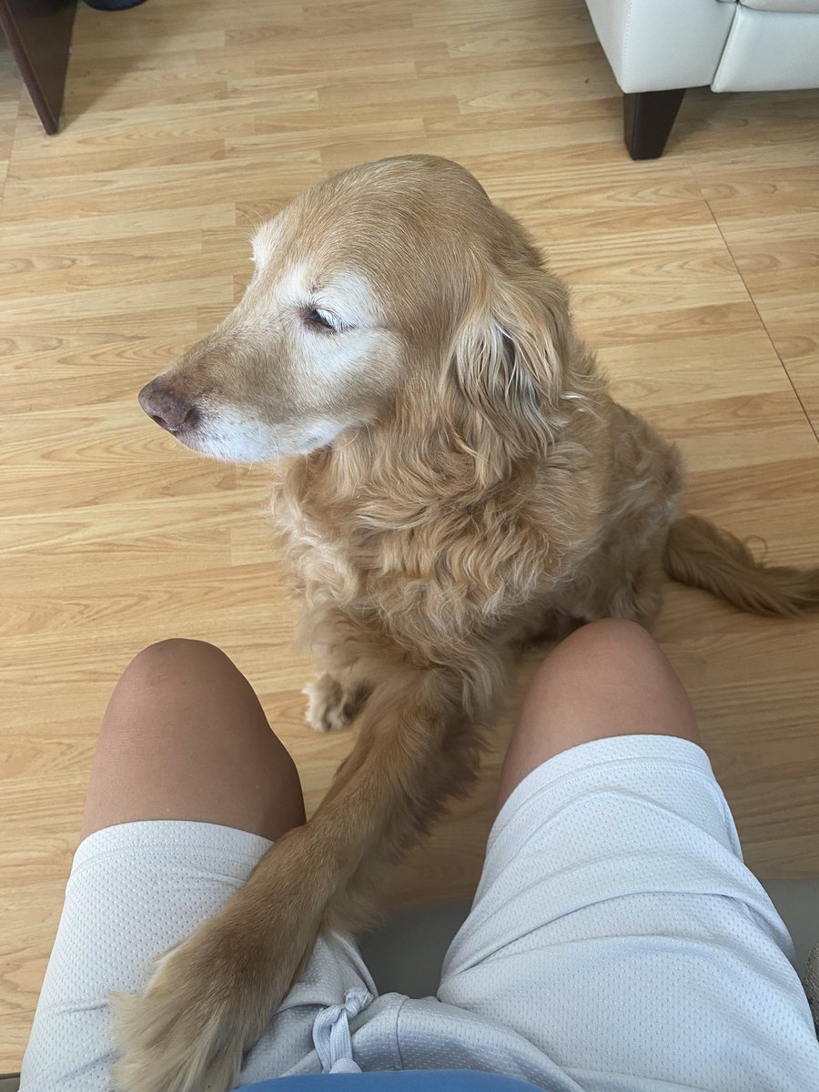 ©️Combat Fishing Russ®️ 🎣 tweet media