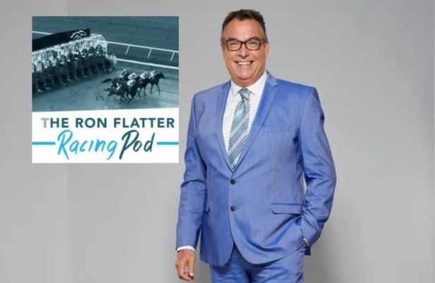 Horse Racing Nation tweet media