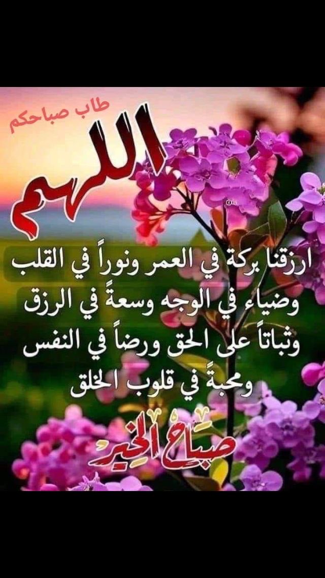 أحمد الجوهر tweet media