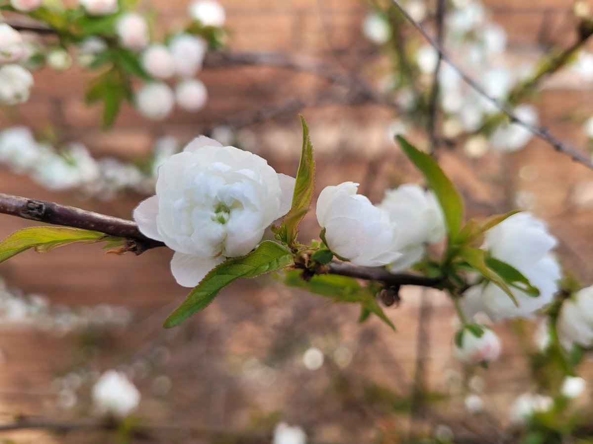 Kathy Hake tweet media