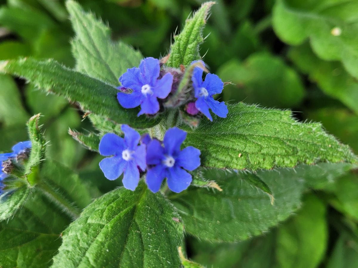 Kathy Hake tweet media