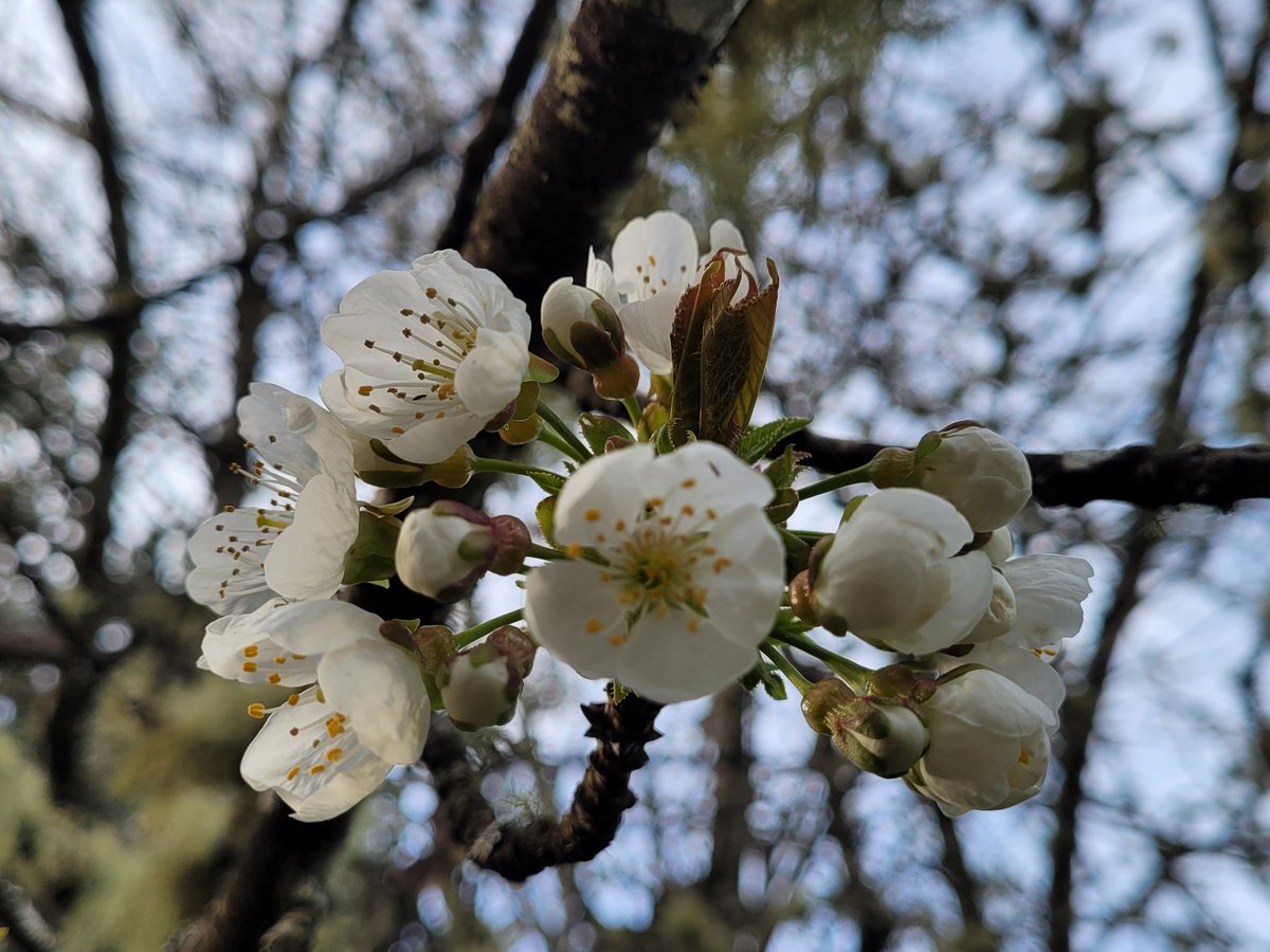 Kathy Hake tweet media