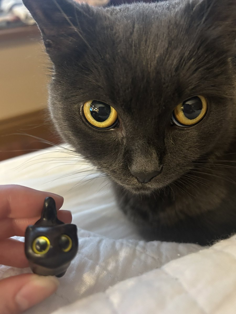 rob 🍉 tweet media