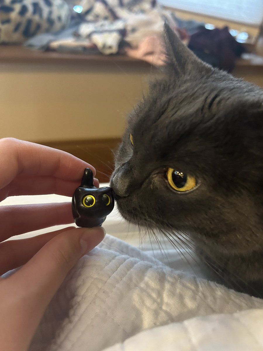 rob 🍉 tweet media