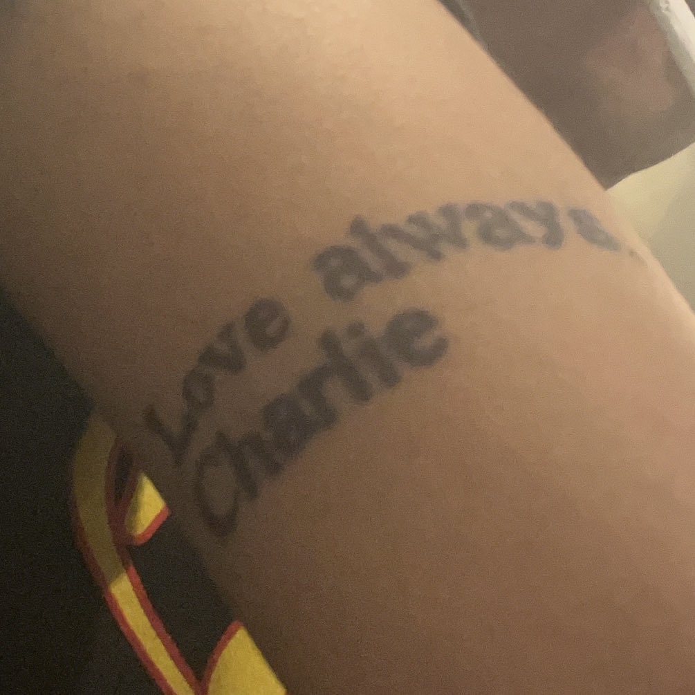 alxversion tweet media