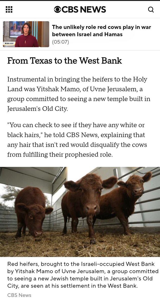 Mamadou On GameDev tweet media