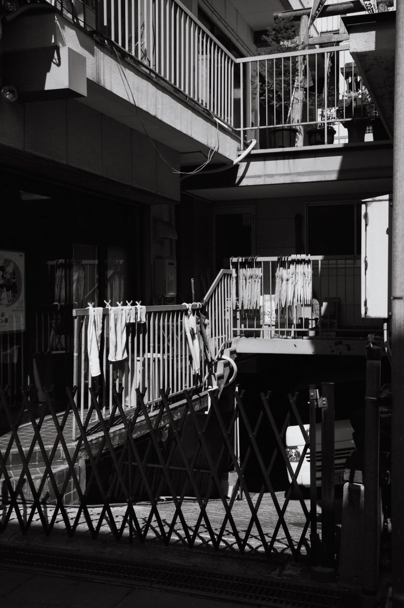 LumRose(通称らむ) tweet media