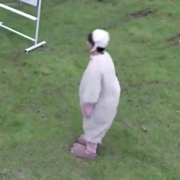 gisela; ENHYPEN IS 7 ♡ tweet media