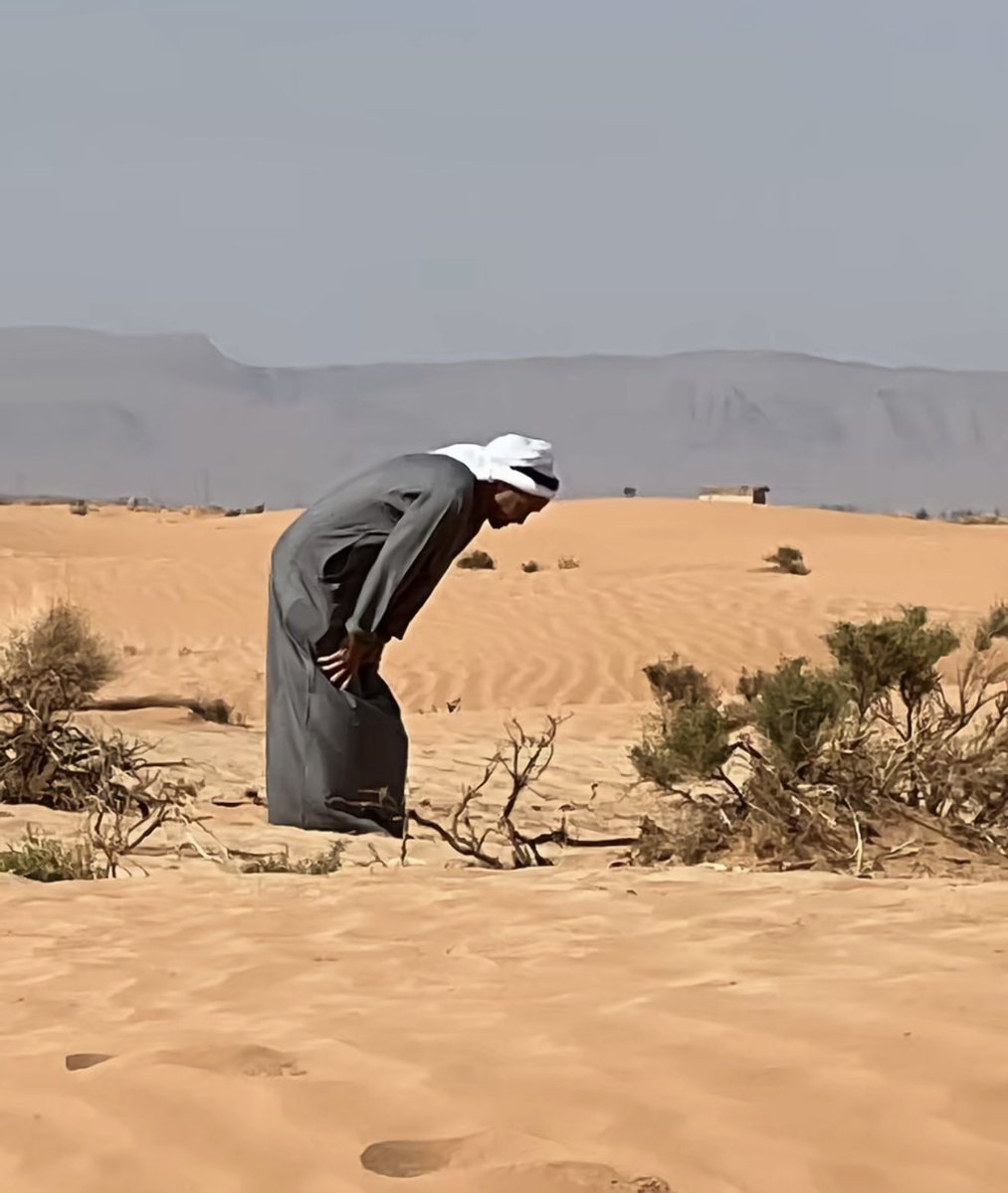 ‏عمار بن حميد المري tweet media