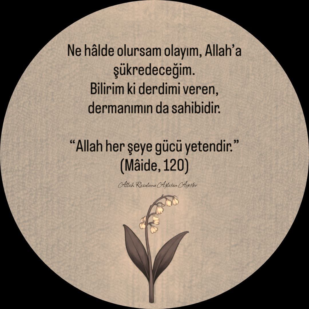 Büşra Gür tweet media