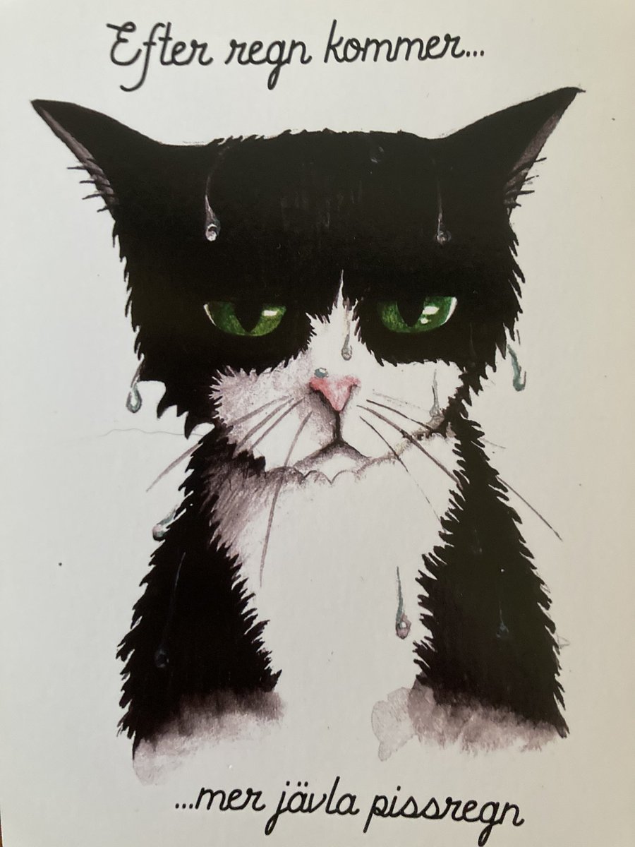 Jen | Sandman S2 spoilers ✨ tweet media