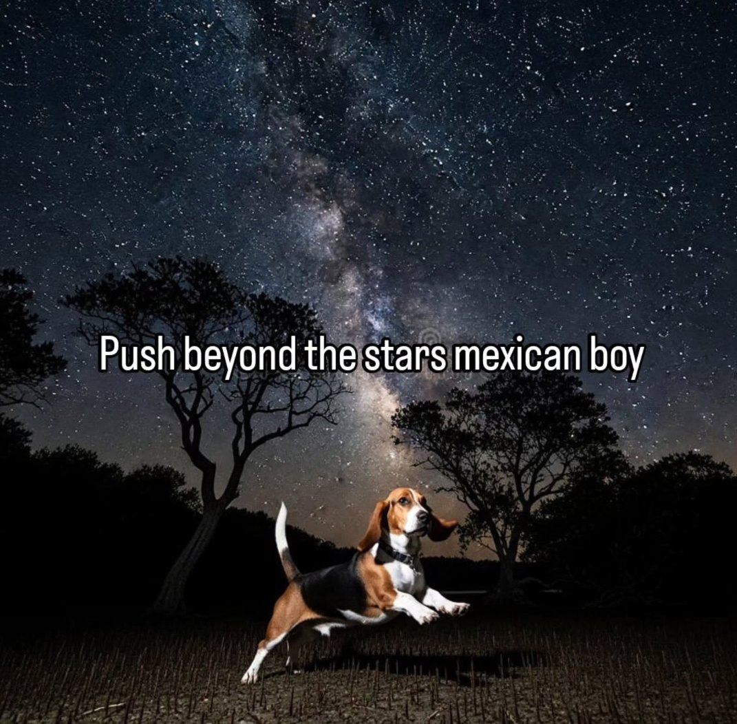 Smirk 𒉭 tweet media