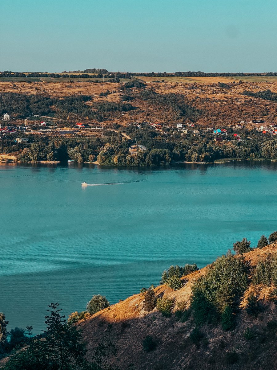 перша ластівка tweet media