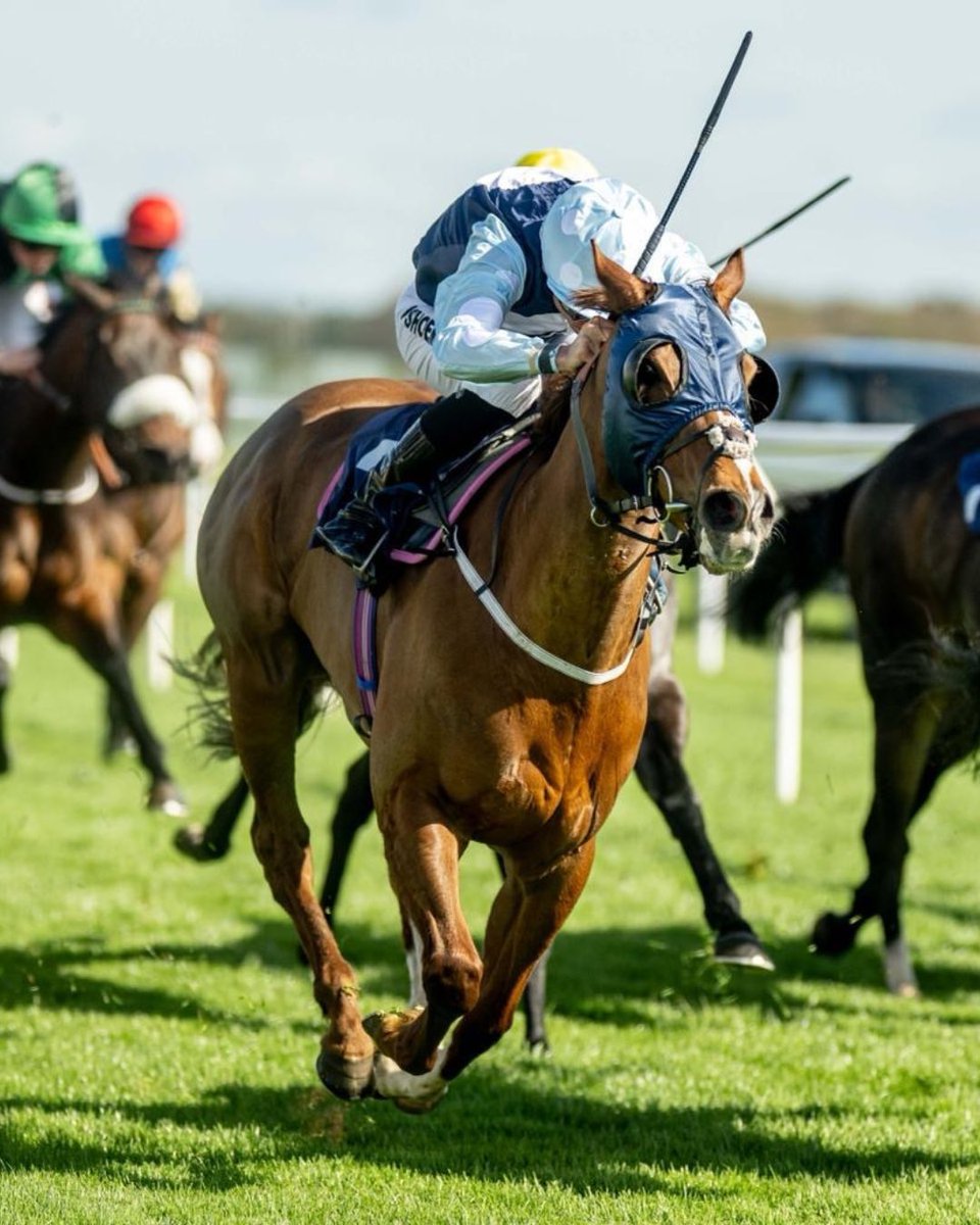 BlandfordBldstk's tweet photo. 🥇LISTED WINNER🥇AZURE ANGEL takes the Lansdown Stakes @BathRacecourse for Kieran Shoemark, @futurechamp2021 &amp; Partner &amp; @ebethellracing 👏🏼⭐️Bought at the @Tattersalls1766 Mare Sale from @BarodaStudIre. Congratulations to all connections! #AnEyeForSuccess #BlandfordBloodstock https://t.co/q0dp9Yb41v
