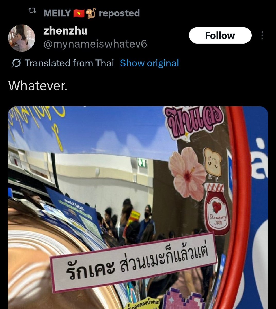 Gi (จิ) 🦔🇧🇷🐍🥬 tweet media