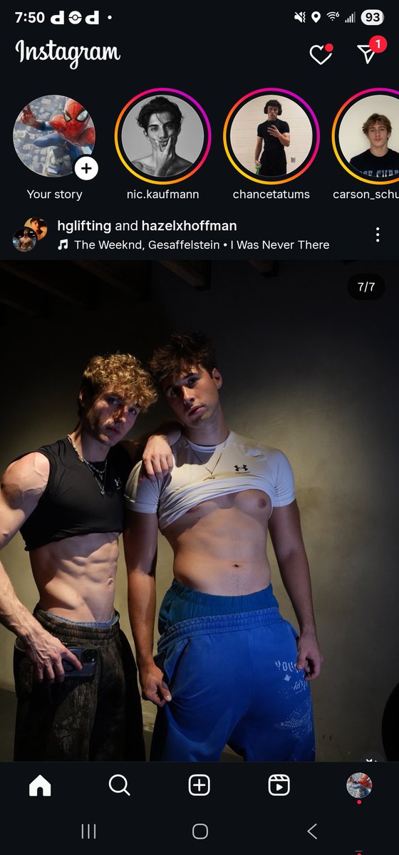 Logan Hall tweet media