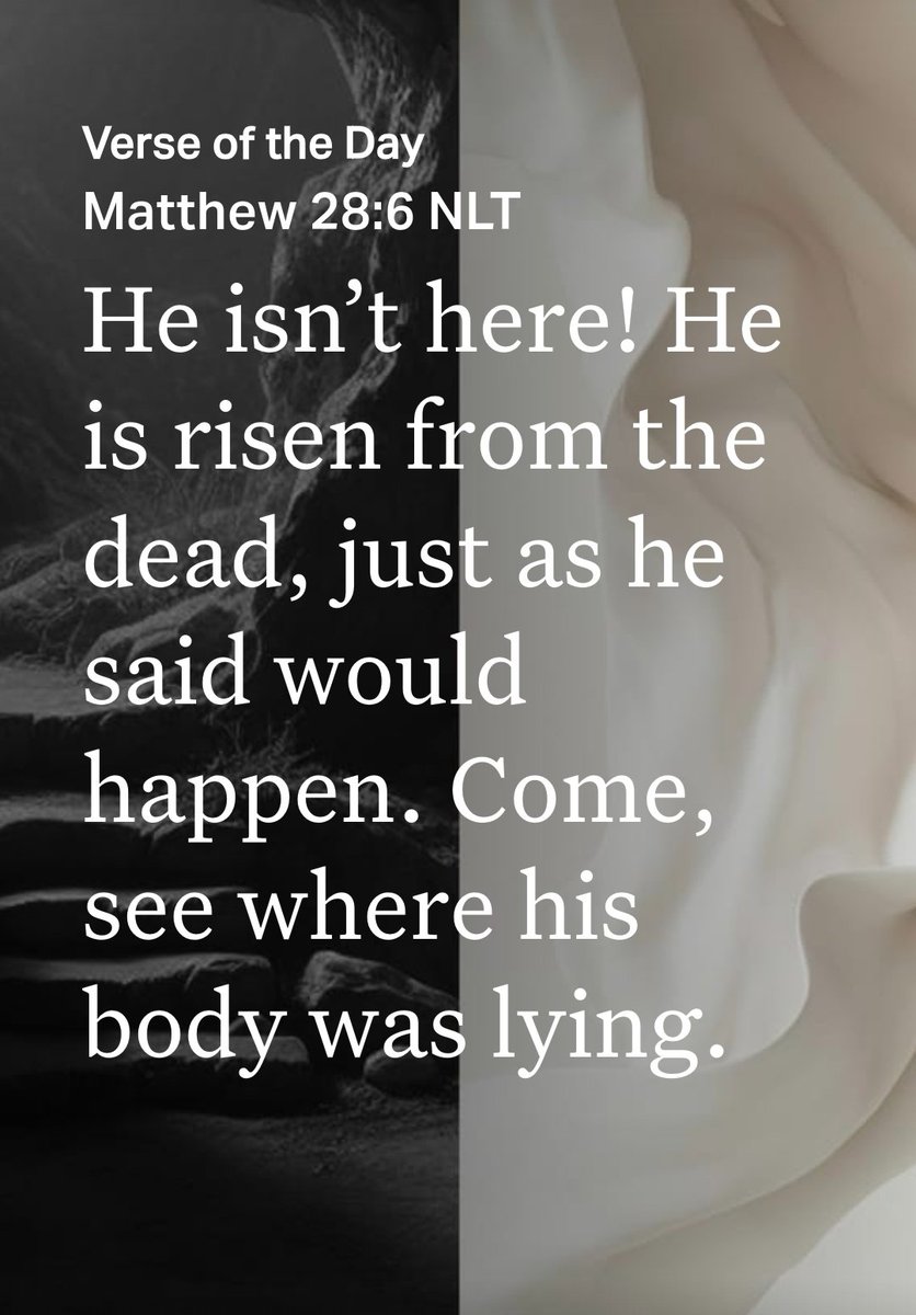 Sheba☀️ tweet media